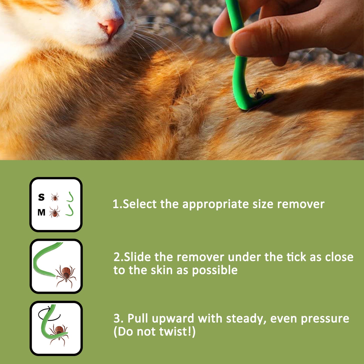 3-Piece Tick Remover Tool Set – Safe & Painless for Dogs, Cats & Humans