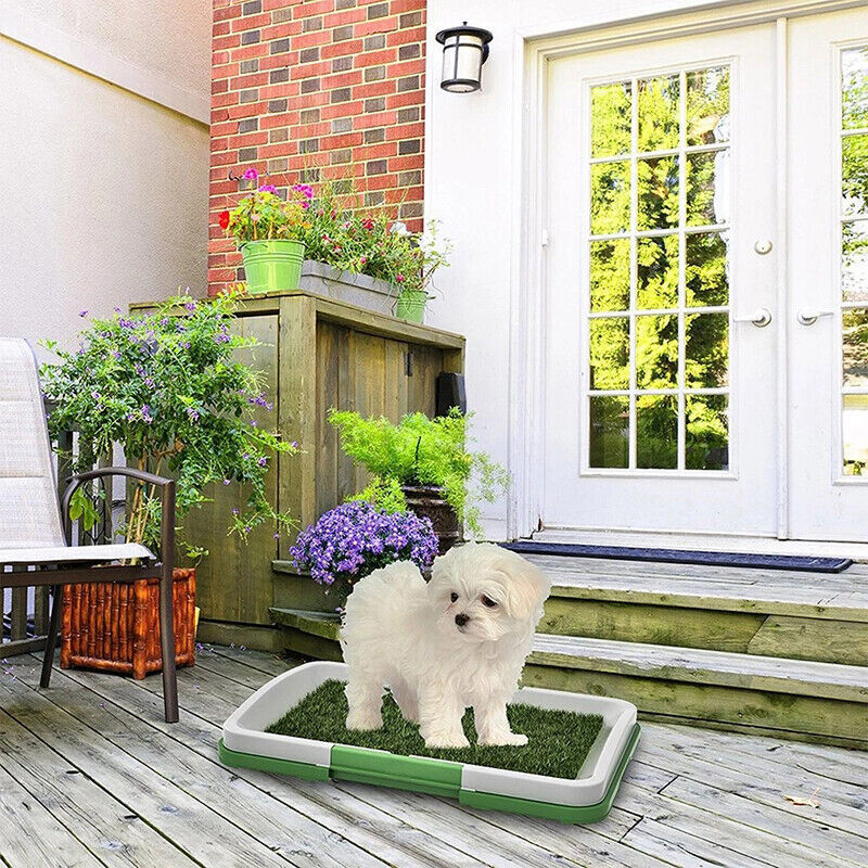 Indoor Dog Toilet Mat – Large Puppy Training Grass Potty Pad & Tray