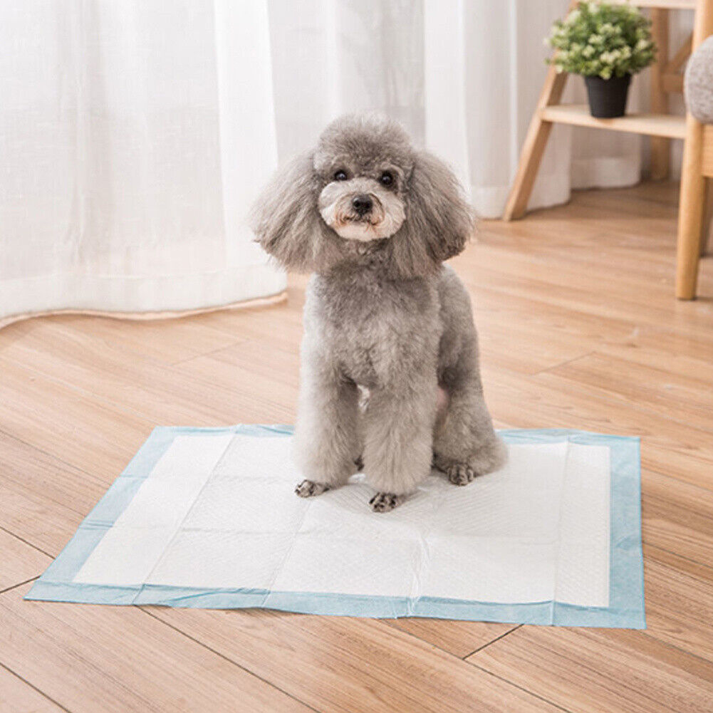 50-Pack Puppy Training Pads – Absorbent Toilet Mats for Dogs & Cats