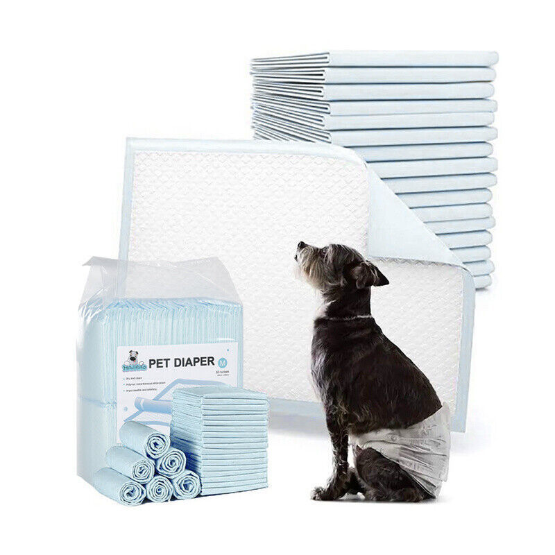50-Pack Puppy Training Pads – Absorbent Toilet Mats for Dogs & Cats