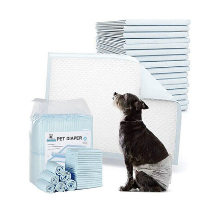 50-Pack Puppy Training Pads – Absorbent Toilet Mats for Dogs & Cats
