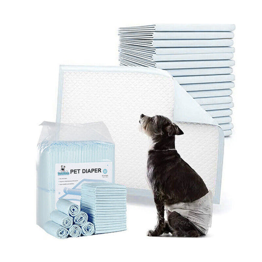 50-Pack Puppy Training Pads – Absorbent Toilet Mats for Dogs & Cats