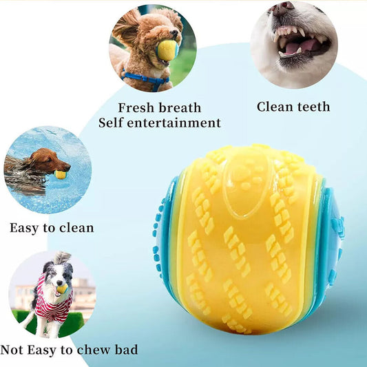 Scooby-Doo Dog Ball Set – 8 Durable Squeaky Balls for Play & Teeth Cleaning