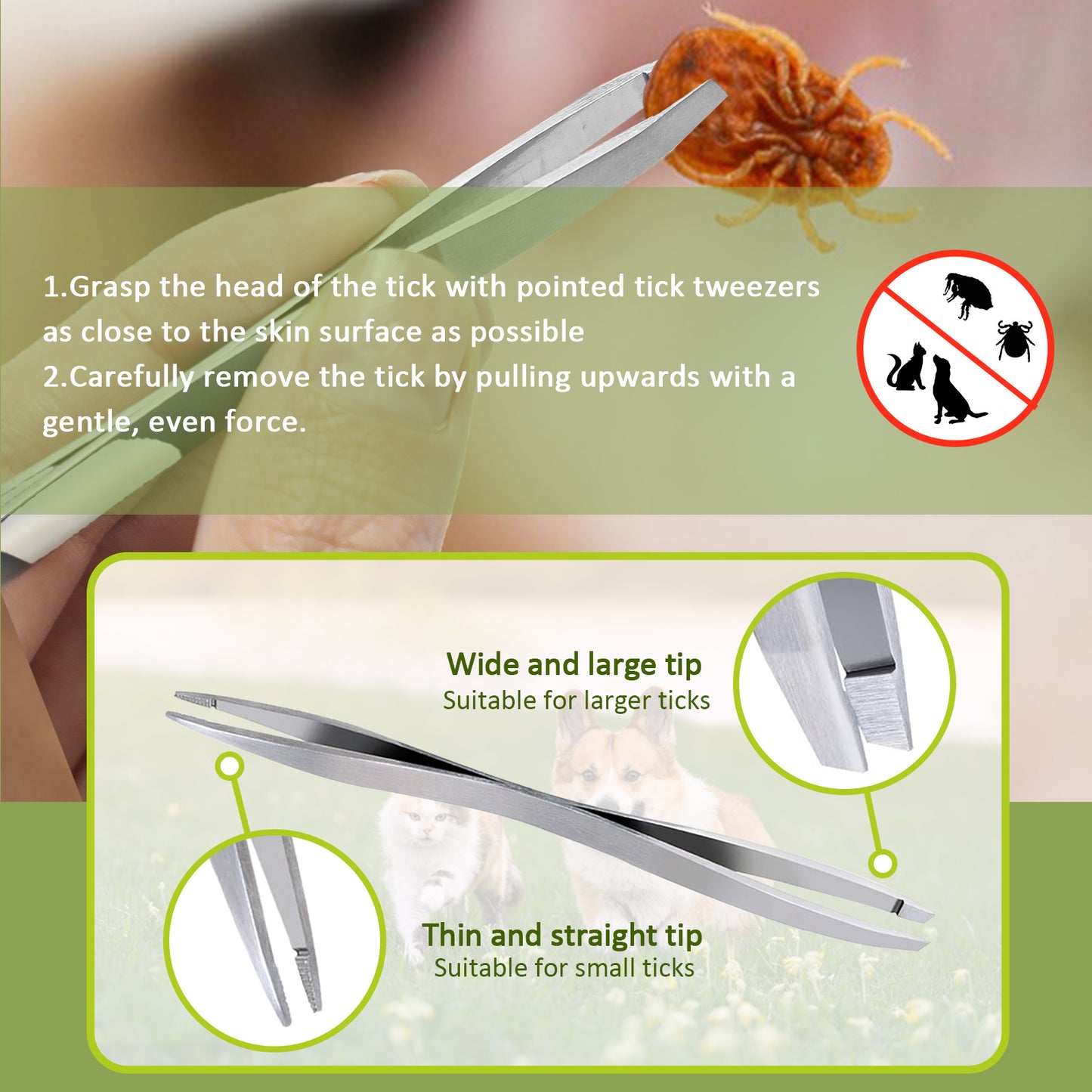 3-Piece Tick Remover Tool Set – Safe & Painless for Dogs, Cats & Humans