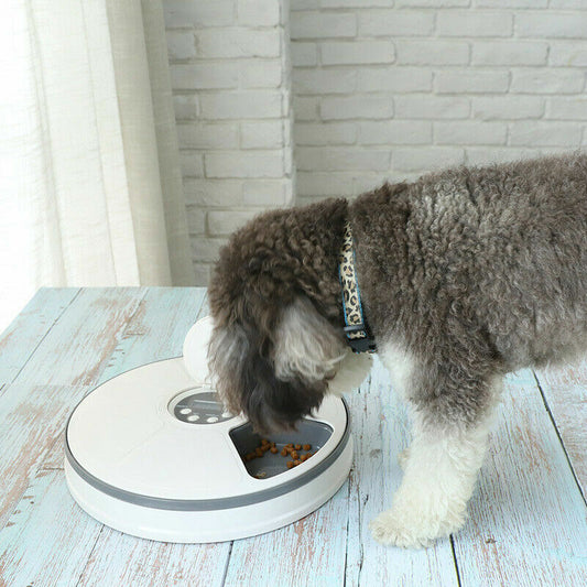 Automatic 6-Day Pet Feeder – Timed Food Dispenser for Dogs & Cats
