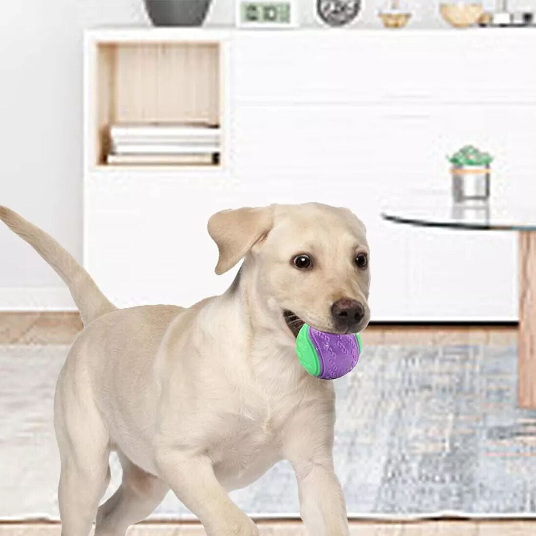 Scooby-Doo Dog Ball Set – 8 Durable Squeaky Balls for Play & Teeth Cleaning