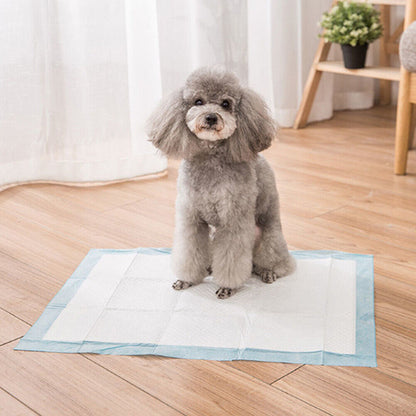 50-Pack Puppy Training Pads – Absorbent Toilet Mats for Dogs & Cats