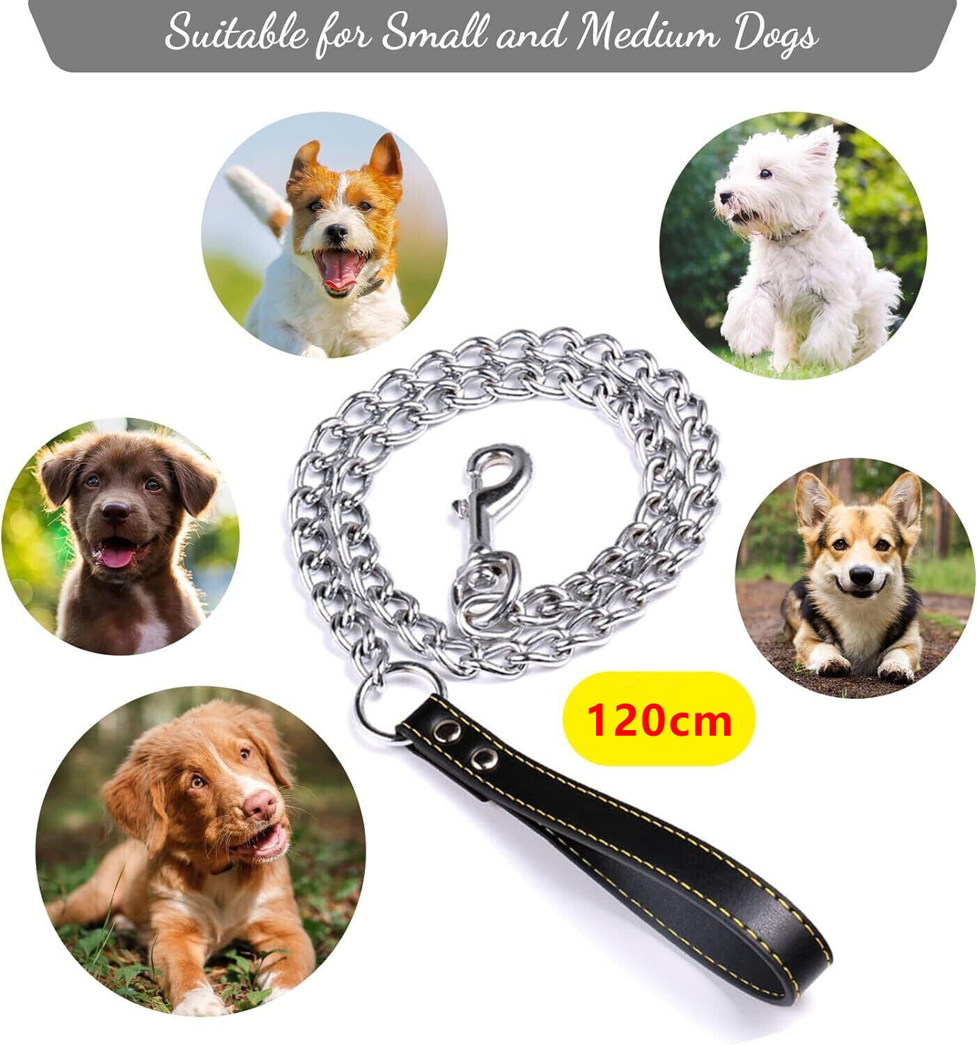 1.2m Metal Dog Lead – Heavy-Duty, Anti-Chew Chain Leash for Pets