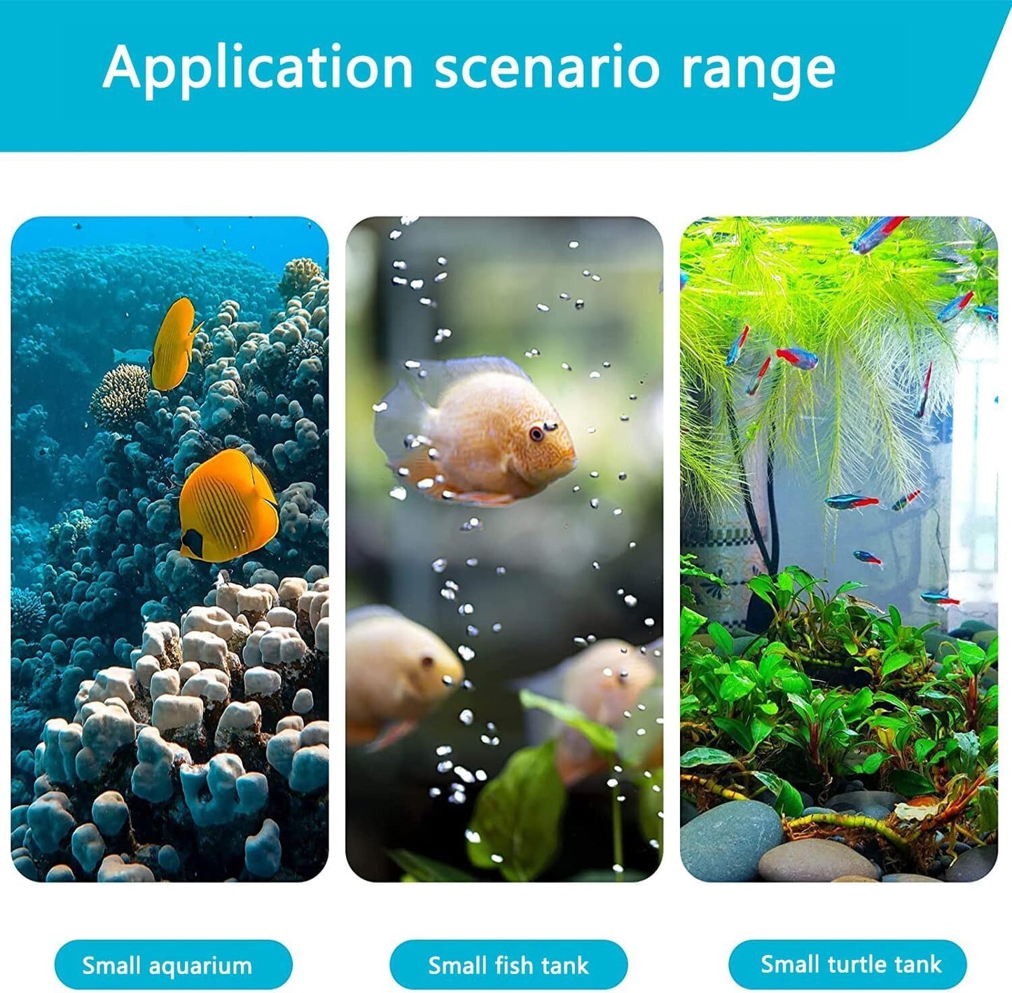 Aquarium 3-in-1 Filter – Purifies Water & Adds Oxygen
