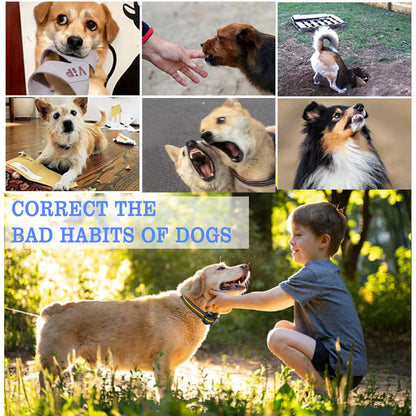 Rechargeable Dog Training Collar – Waterproof with Shock, Vibration & Sound (800m Range)