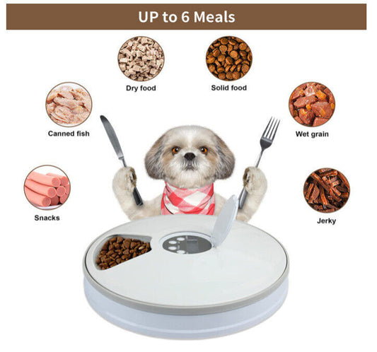 Automatic 6-Day Pet Feeder – Timed Food Dispenser for Dogs & Cats