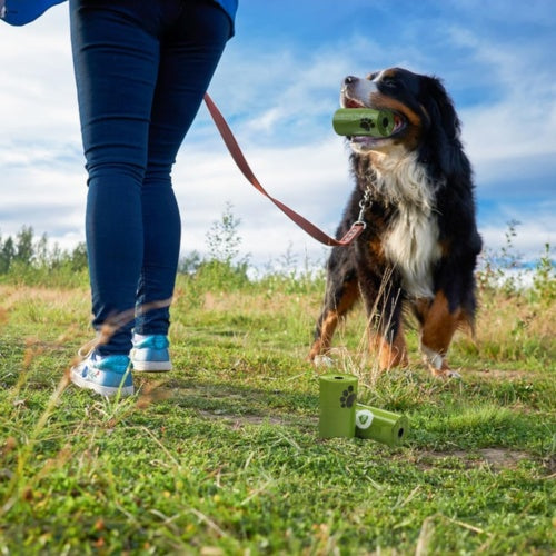 540 Biodegradable Dog Poo Bags – Heavy-Duty & Eco-Friendly Waste Bags